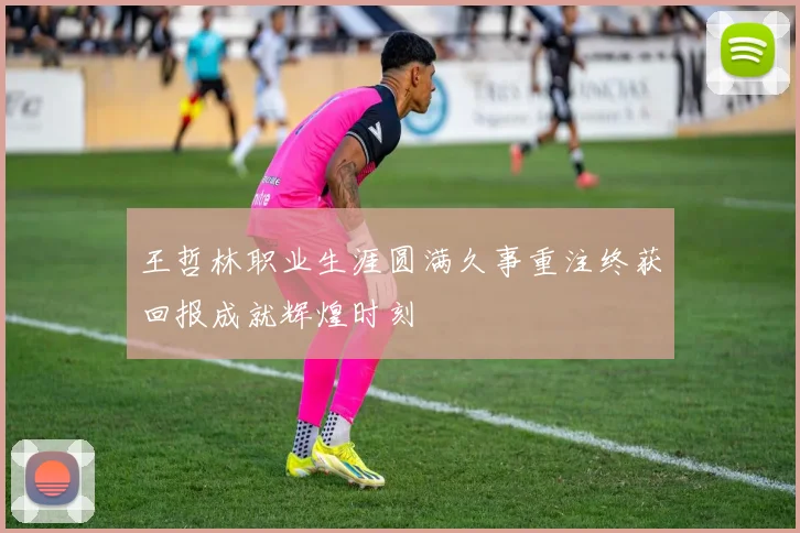 王哲林职业生涯圆满久事重注终获回报成就辉煌时刻